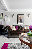 Dog on brown velvet sofa with colourful cushions in the living room