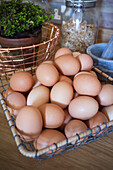 Fresh eggs in a wire basket in the kitchen