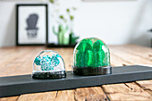 Mini snow globes with green cactus on wooden board