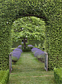 Garden path with lavender borders and hedge arches