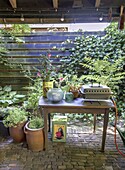 Green terrace with herbs and plants, table with barbecue and decoration