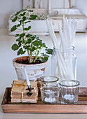 Tray with plant in clay pot, candles and candle holder