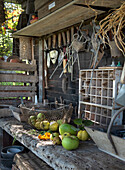 Garden table with tool wall and fruit basket