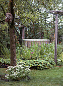 Natural garden with lush vegetation