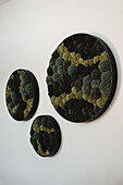 Wall decoration with round moss pictures in various sizes