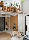 Bright entrance area with plant shelf and round carpet