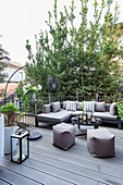 Terrace with lounge furniture and privacy screen made of young trees