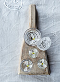 Wooden board with snowdrops (Galanthus) in small jars