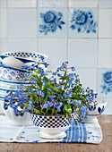 Forget-me-nots (Myosotis) in blue and white ceramic bowl in front of wall tiles with floral pattern