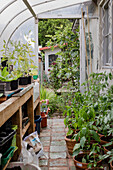 Plants in a greenhouse with tiled floor and wooden table