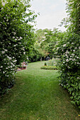 Spacious garden with flowering shrubs in summer