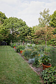 Rows of flower beds and planters in a summer garden