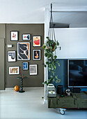 Gallery wall in the living room with green plant and military crate as TV console