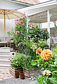 Lushly blooming summer flowers in wooden boxes in front of patio area