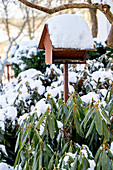 Snow-covered birdhouse and rhododendron bushes in the winter garden