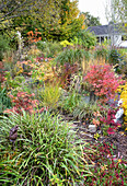 Garten mit bunt gefärbtem Herbstlaub und Gräsern