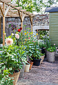 Farbenfrohe Blumen in Töpfen und Körben unter Pergola im Garten