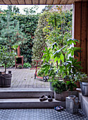 Covered terrace with potted plants, outdoor fireplace and children's scooter