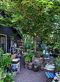 Idyllic garden area with many potted plants, garden furniture and tree in the center