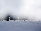 Soap bubble freezes in the snow