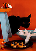 Halloween decoration with black cat figure, mice and sweets in front of an orange wall