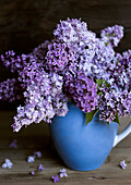 Lilacs (Syringa) in blue ceramic vase on wooden surface