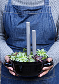 Woman holding arrangement of succulents and grey candles in black ceramic pot