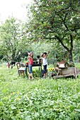 Spielende Kinder im Obstgarten