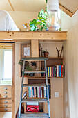 Hochbett mit Leiter, Bücherregal und Pflanzen in einem Tiny House