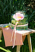 Glass vase with pink flower on wooden stool in the garden