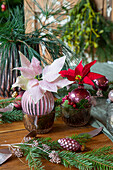 Christmas decoration with poinsettia flowers (Euphorbia pulcherrima) and fir branches