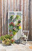 Decorative window shutter with flowers in pots