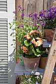 Flower arrangement on wooden shelf in summer garden