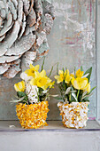 Two flower arrangements of daffodils (Narcissus) and tulips (Tulipa) in yellow and white flower pots