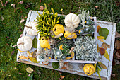 Autumnal decorated wooden trays with white pumpkins, ornamental quinces and heather in the garden