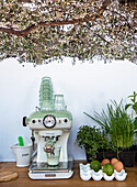 Kitchen worktop with coffee machine, herbs and eggs under olive tree decor