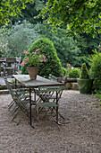 Garden table with metal chairs and flowering potted rose bush on gravelled area in the garden