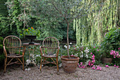 Seating area in the garden with rattan chairs and flower pots