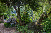 Seating area under a tree on the riverbank in summer