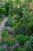 Flowering garden with paved path and lush vegetation in summer