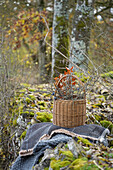 Willow basket with autumn twigs on a grey blanket in the forest
