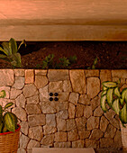 Natural stone wall with indoor plants