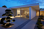 Modern detached house at dusk with garden path and bonsai tree