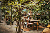 Greenhouse with wooden table and chairs, tree and lots of plants