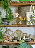 Decorative wall shelves with plants, fabric bag and natural stone collection