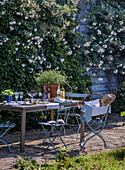 Set garden table with chairs in front of blooming rose hedge