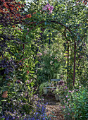 Metal arch with roses and a lush variety of plants in the summer garden