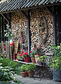 Decorative flower pots with red geraniums in front of a wall of stacked logs