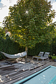 Hammock and two deckchairs on wooden terrace next to the pool under a tree