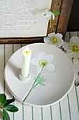 Candle holder with Christmas rose on striped tablecloth